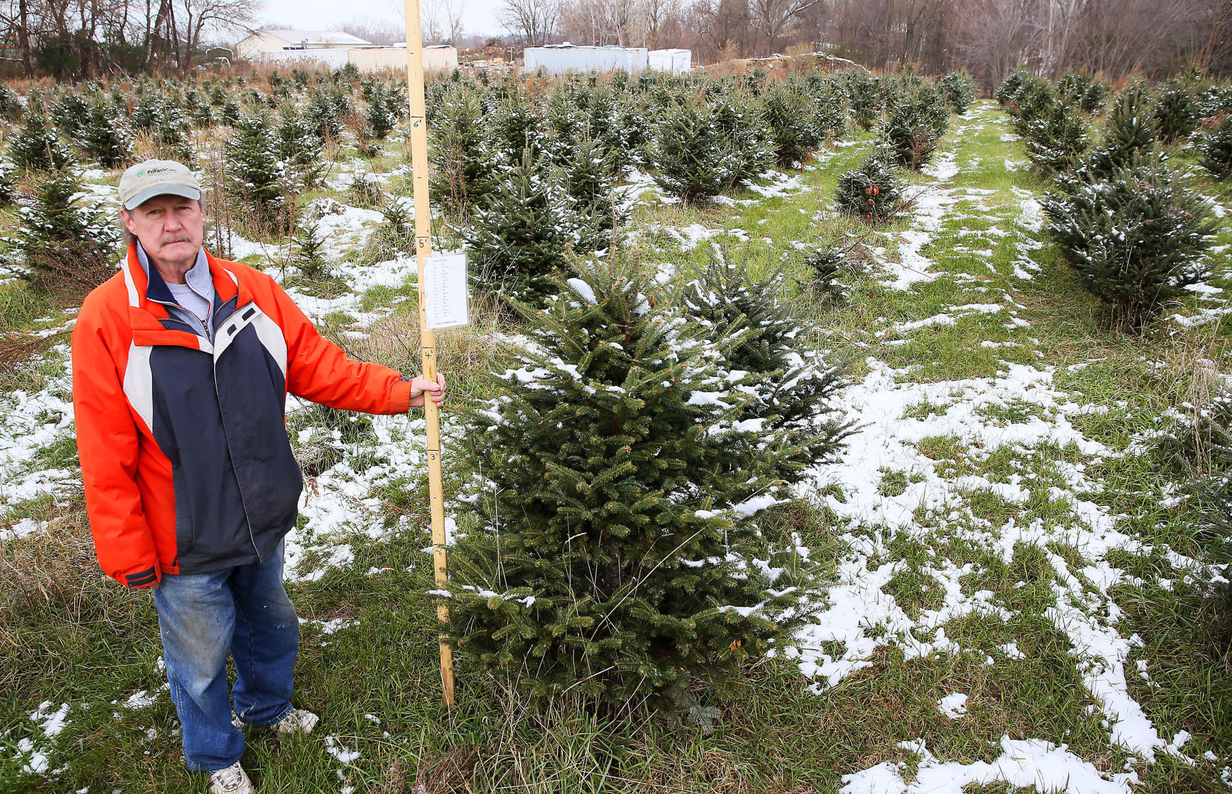 Wyffels Tree Farm